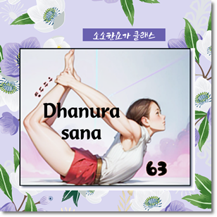 다누라아사나