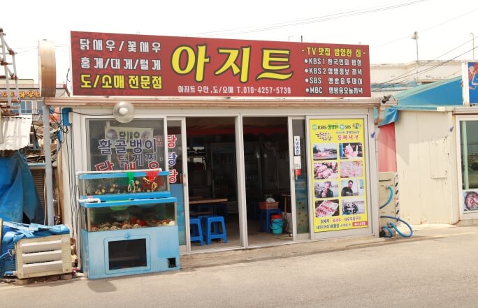 속초-아지트