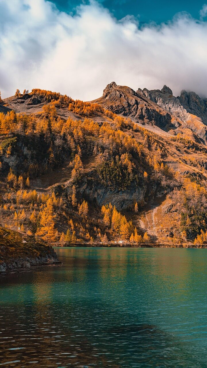 탐험 시 만날 수 있는 위험 요소 분석