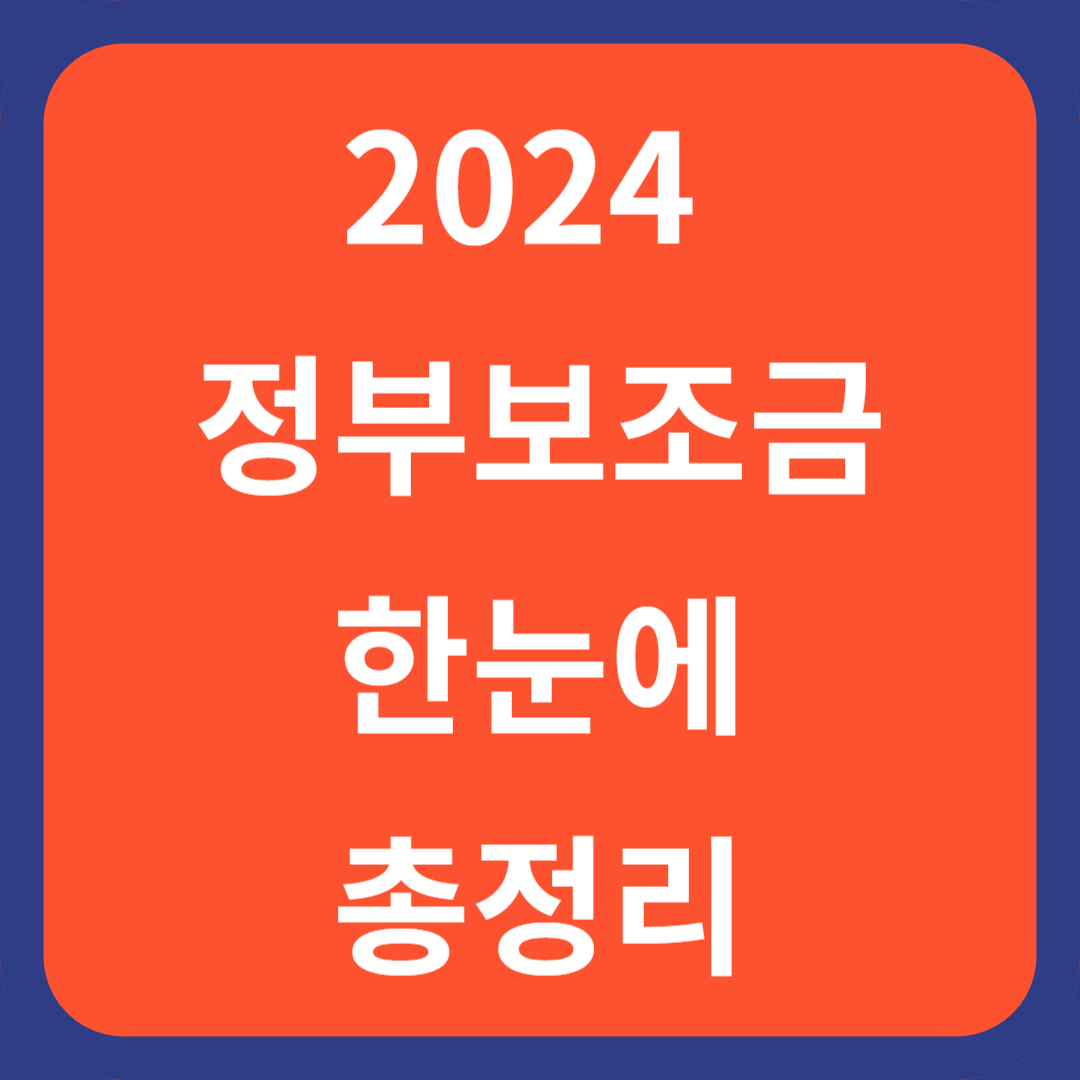 2024 정부부조금 한눈에 총정리