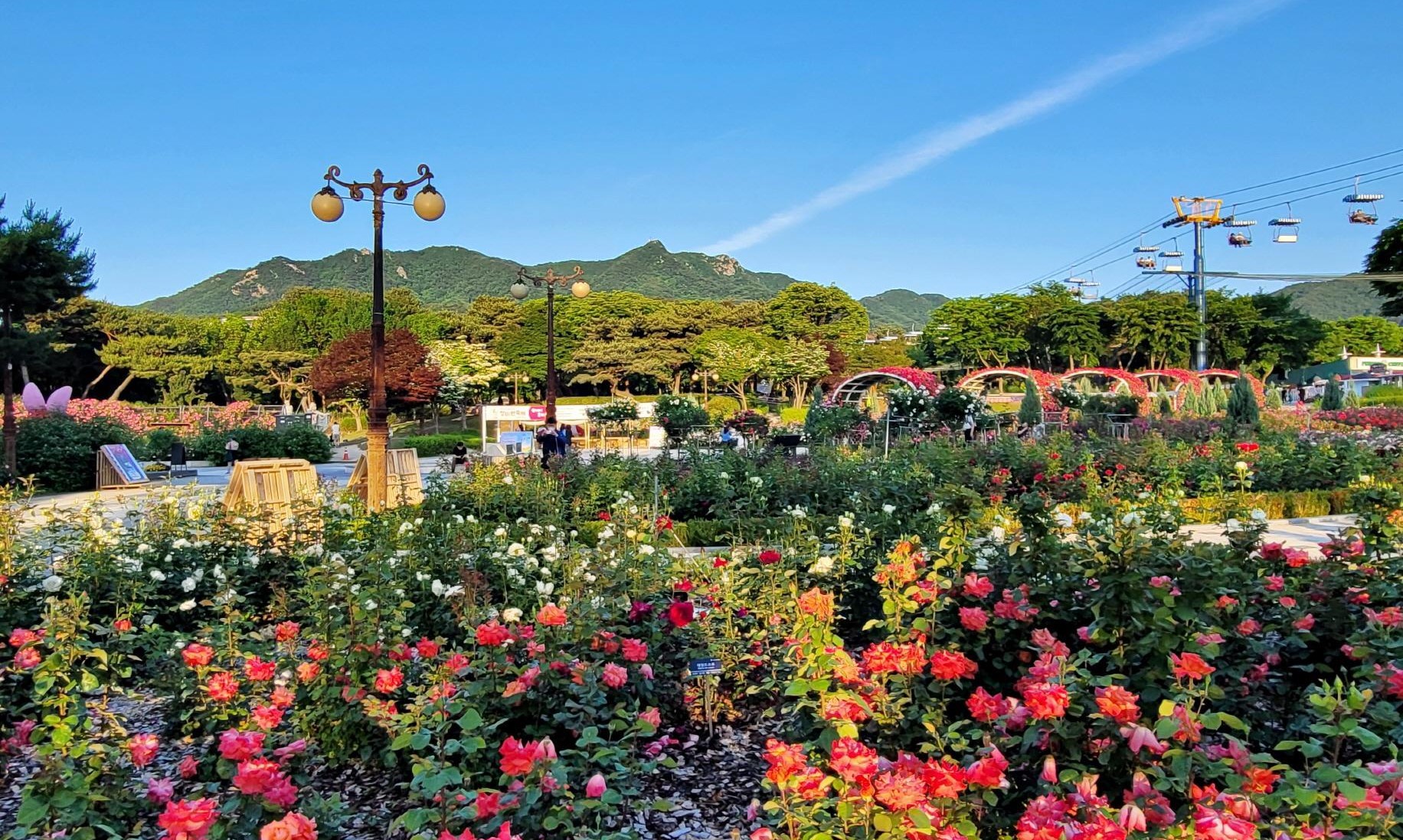 과천 서울대공원 식물원 &amp; 테마가든 완벽 가이드: 동물원과 함께 즐기는 수도권 최대 자연 힐링 명소