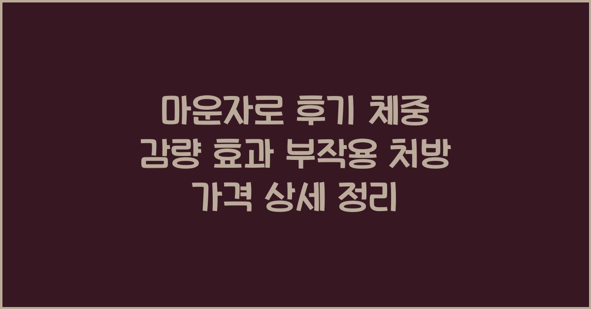 마운자로 후기