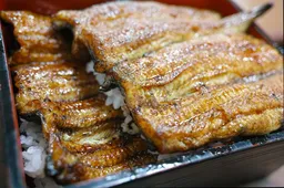 중복 보양식 대구 장어탕 맛집