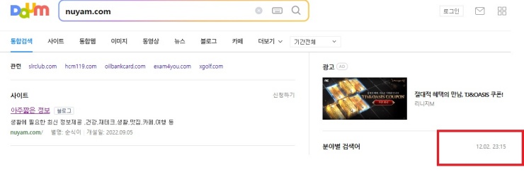 다음-검색-창에-블로그-주소-넣은-후-사이트-정보-확인함