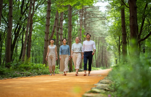 대전황톳길걷기