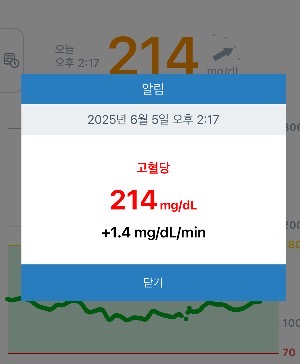 214mg/dL 혈당 알림이 뜬 CGM 앱 화면
