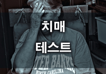 치매 테스트