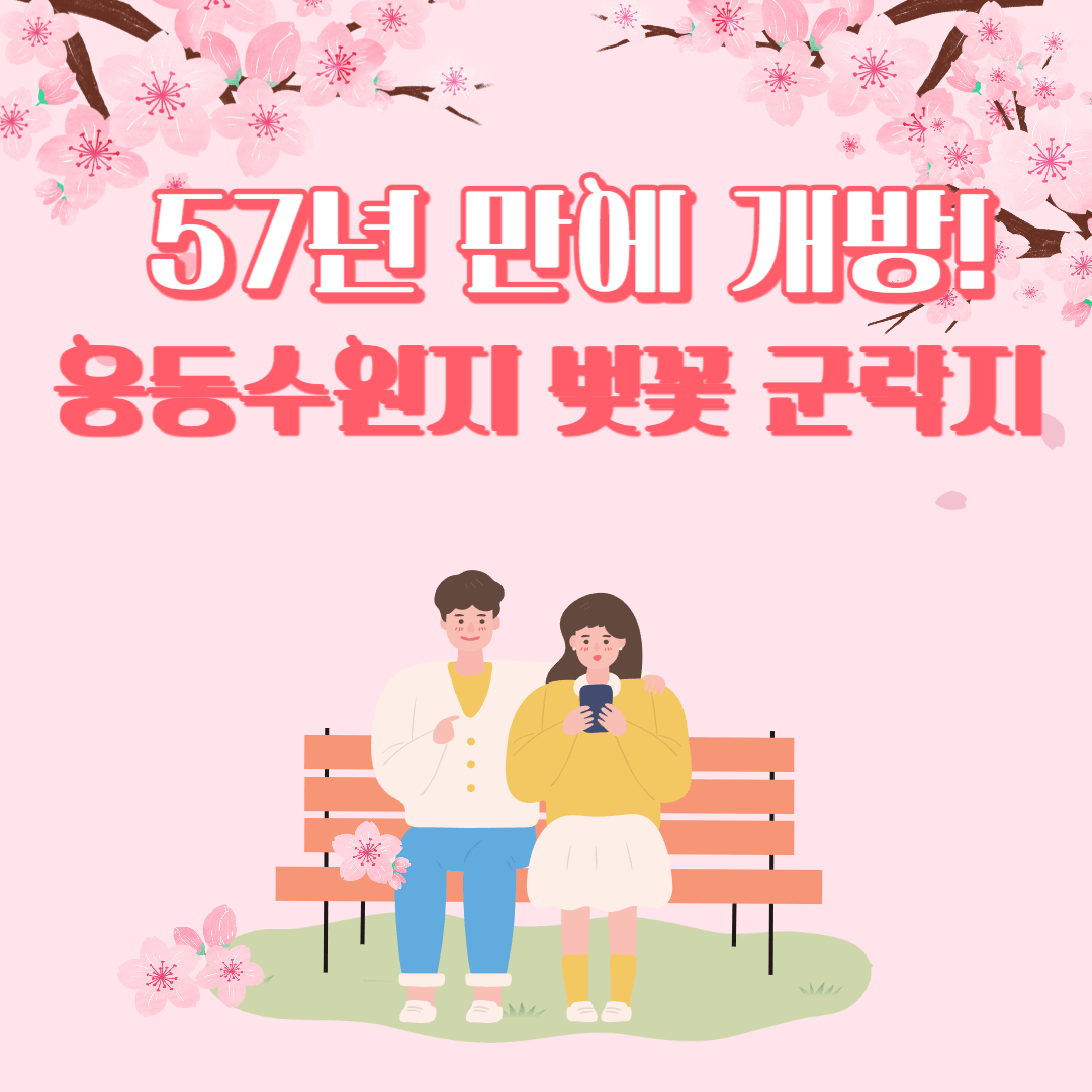57년 만에 개방! 웅동수원지 벚꽃 군락지