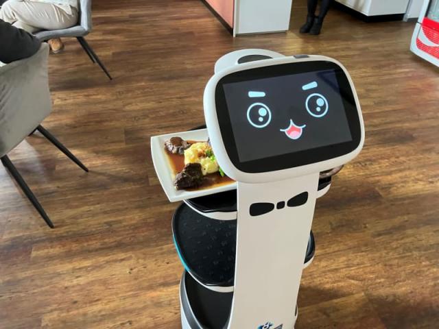 개인용 서비스 로봇의 미래 What Does the Future Hold for Personal Service Robots?