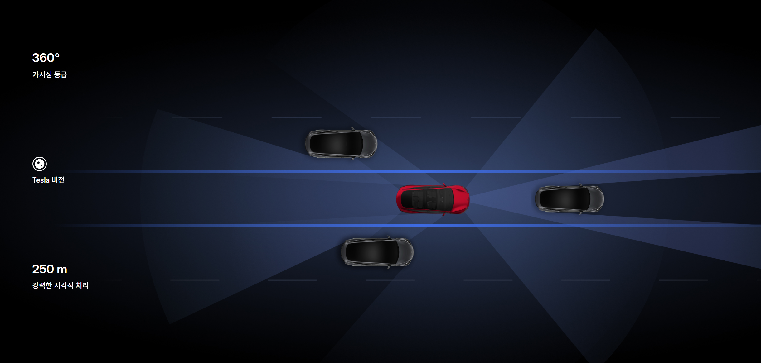 테슬라 오토파일럿과 FSD: 정말 믿을 수 있을까?