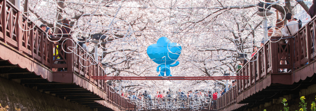 진해 군항제 모습