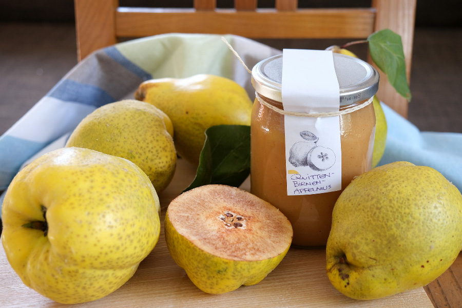 야생에서 채취를 한 모과를 나무 테이블 위에 직물 깔판을 깔고 그 위에 나무 받침 위에 5.5개를 두고 그 사이에 모과로 만든 잼을 담은 투명한 유리병을 두고 찍은 사진