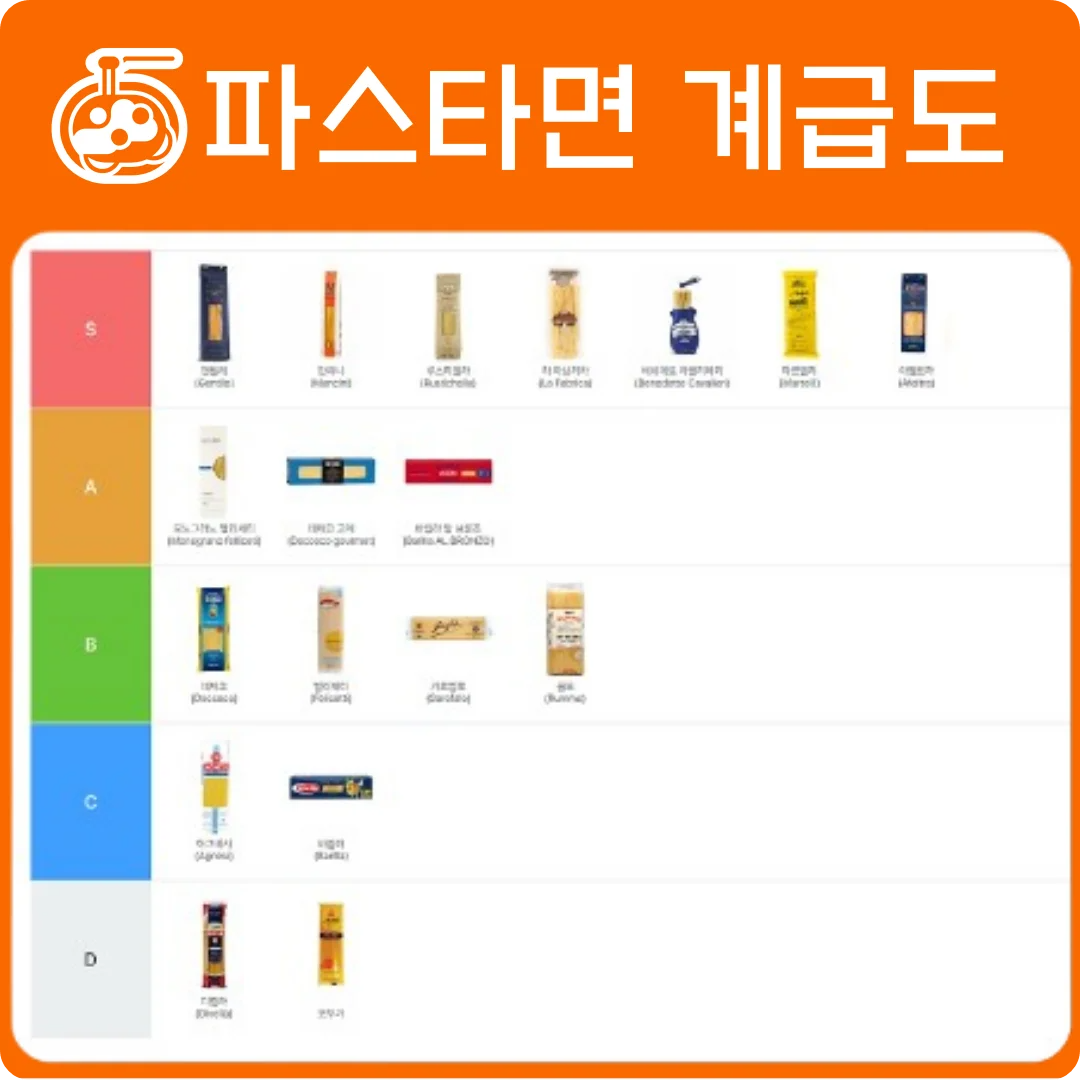 파스타 면 계급도