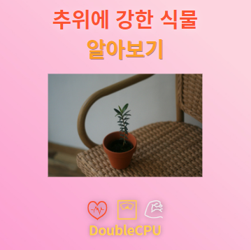 추위에 강한 식물 탐구