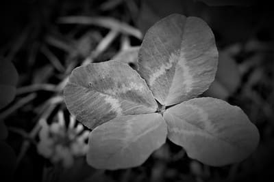 700 만원 연금복권 사는법