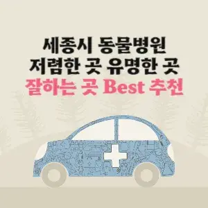 세종 동물병원 잘하는 곳 가격 저렴한 곳 추천