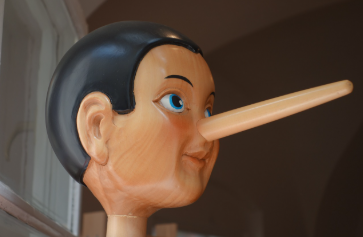 Understanding the Reason