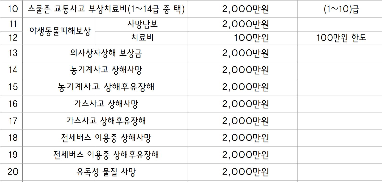 고령군 군민안전보험