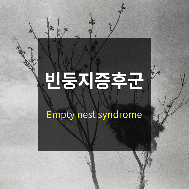 빈 둥지 증후군