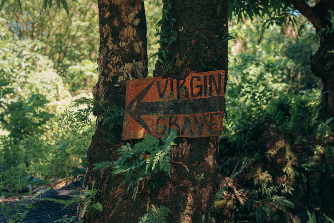 Claim