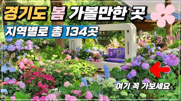 경기도 봄 여행지 추천 10곳 완벽 코스 가이드북_3