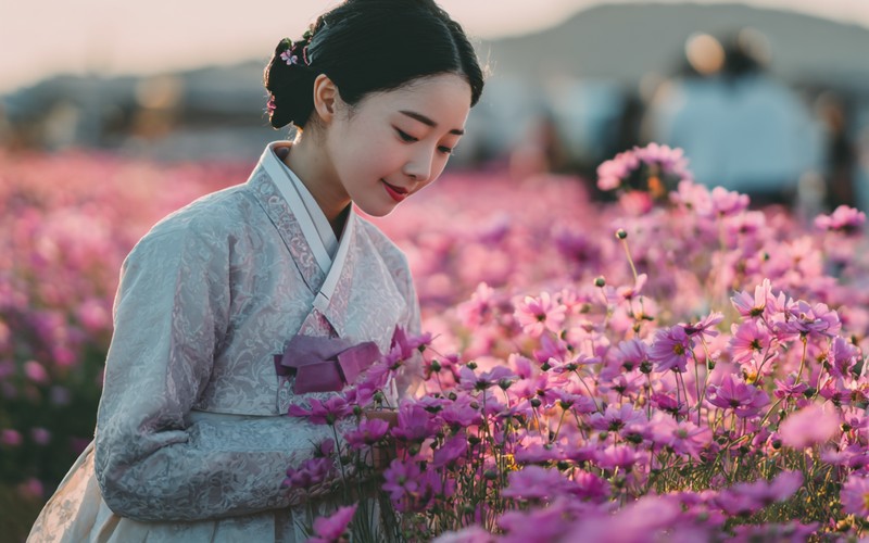 가을 국내여행지 추천 경주 첨성대 핑크뮬리 개화시기 및 주차·코스 총정리