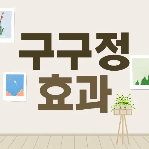 구구정 효과