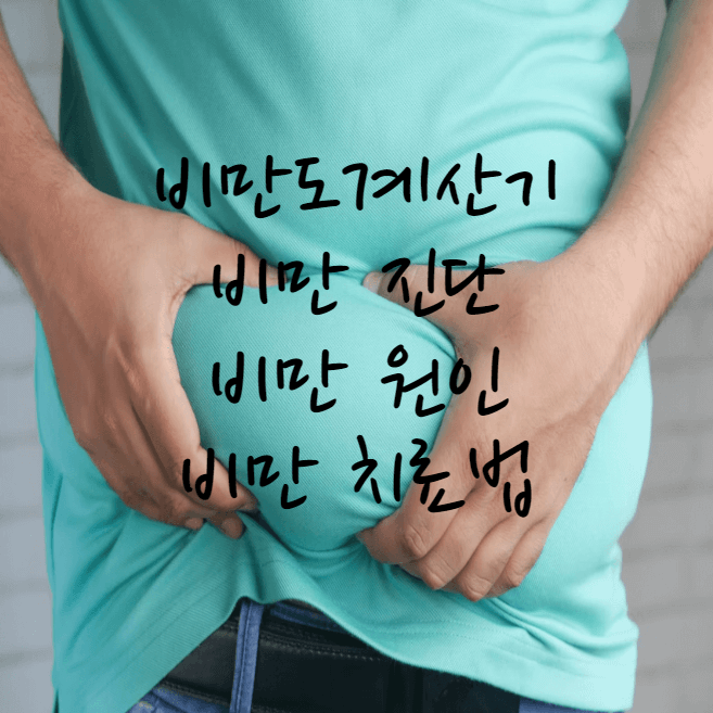 비만도계산기, 비만 완벽하게 파헤치기