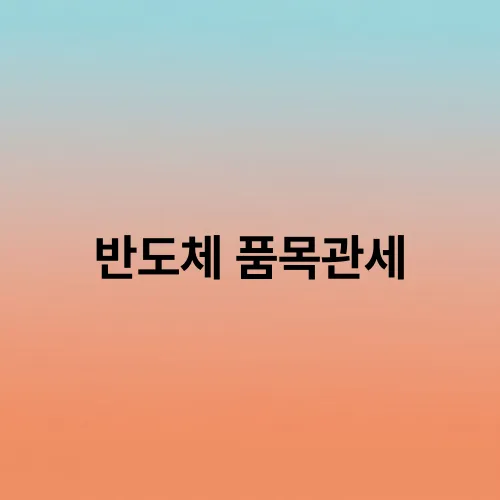 반도체 품목관세