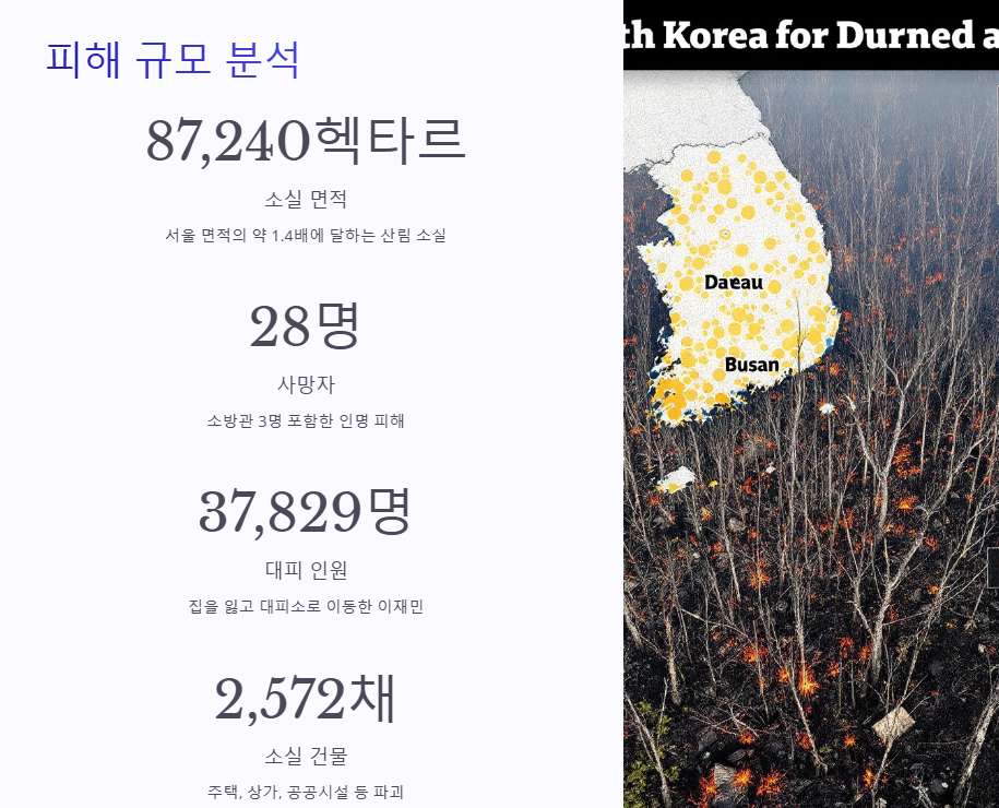 산불 피해상황 및 산불 기부연예인 총정리