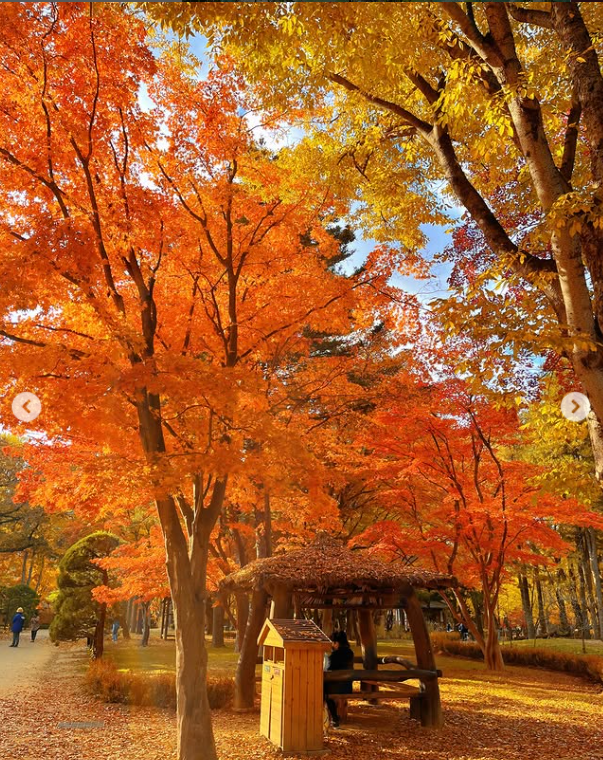 화담숲 - 예약 방법&amp;#44; 예약가능 시간대&amp;#44; 환불 방법