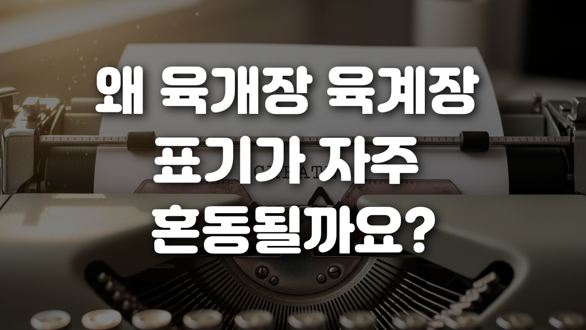 왜 육개장 육계장 표기가 자주 혼동될까요