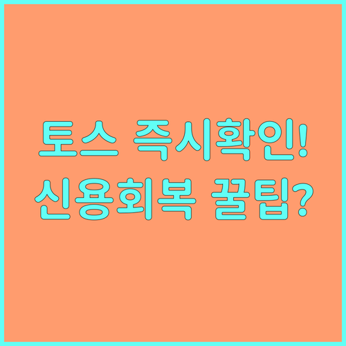 복잡한 서류 없이 토스 앱으로 신용회..