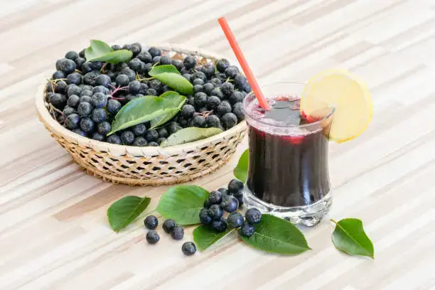 아로니아 효능 총정리|눈 건강·피부·혈관 개선 효과와 부작용까지