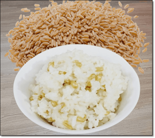 카무트 밥