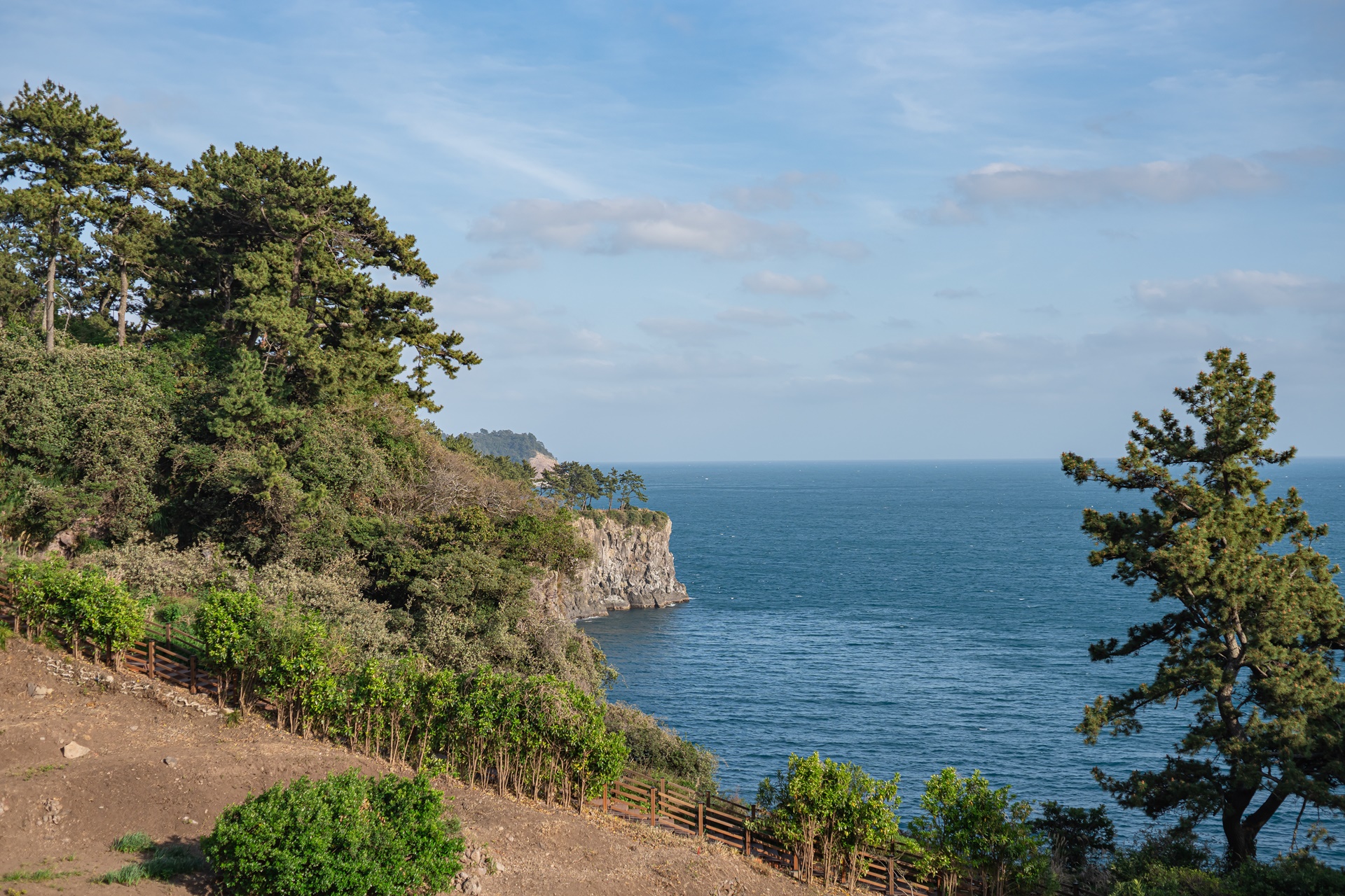 #JW메리어트 #JW메리어트제주 #JW메리어트제주리조트&스파 #범섬 #빌벤슬리 #서귀포호텔 #제주리조트 #제주메리어트 #제주여행 #제주호텔 #댄싱두루미 #더플라잉호그 #아일랜드키친