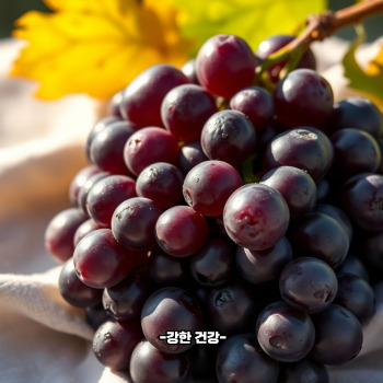 포도 효능