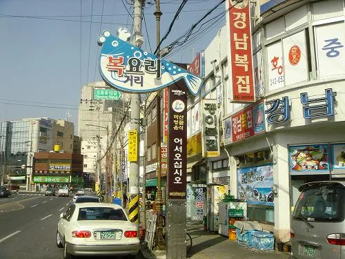 마산 해안도로 5월의 꽃 다정큼나무 산딸나무 해당화_4