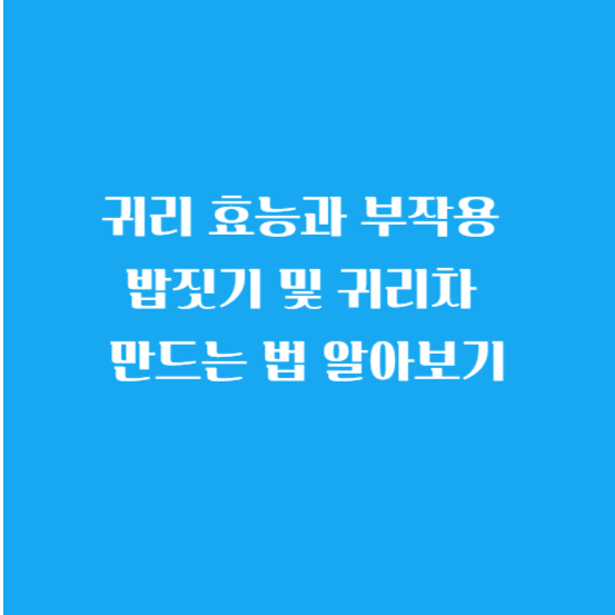 귀리 효능과 부작용 밥짓기 및 귀리차 만드는법 알아보기