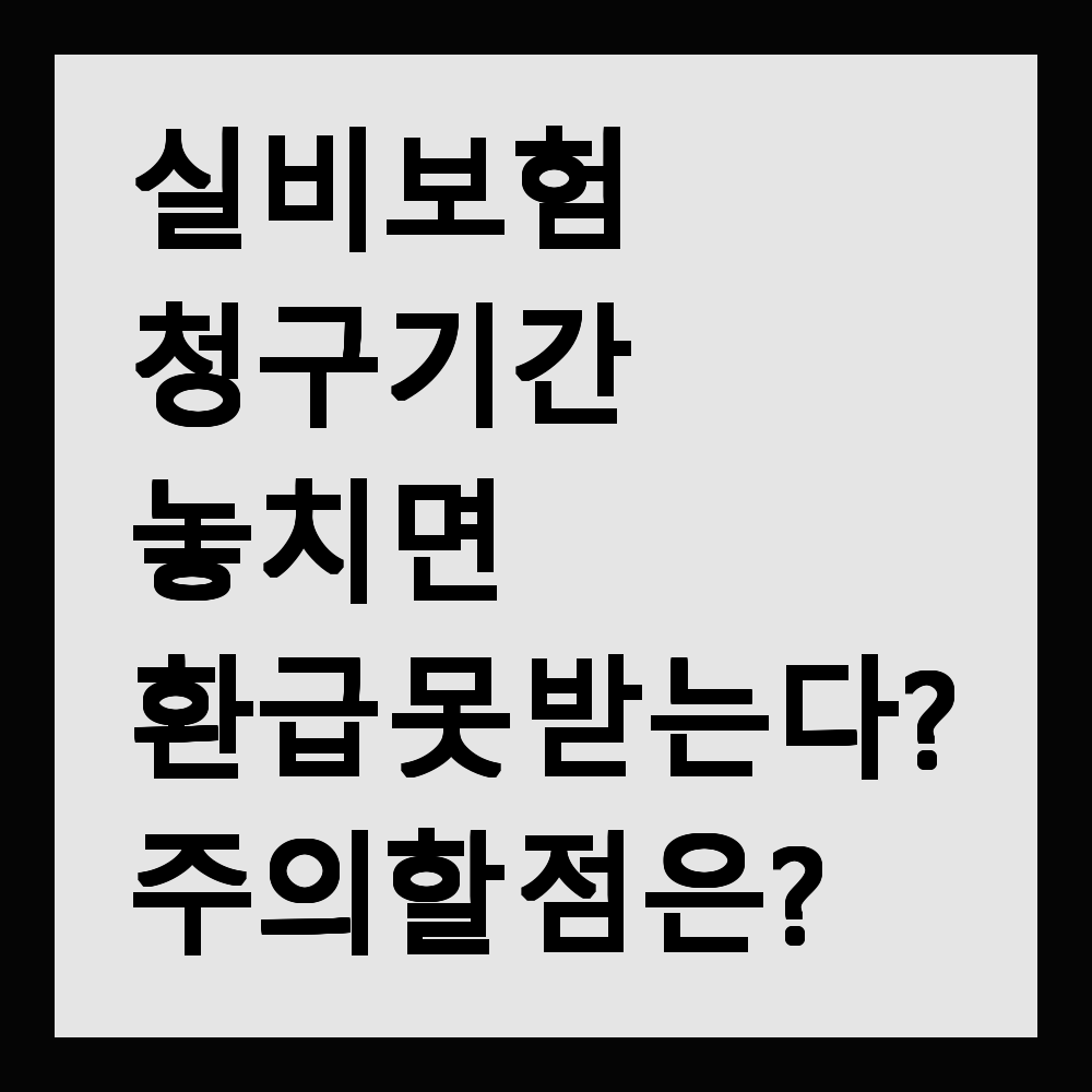 실비보험 청구기간 놓치면 환급 못 받는다? 주의할 점은?