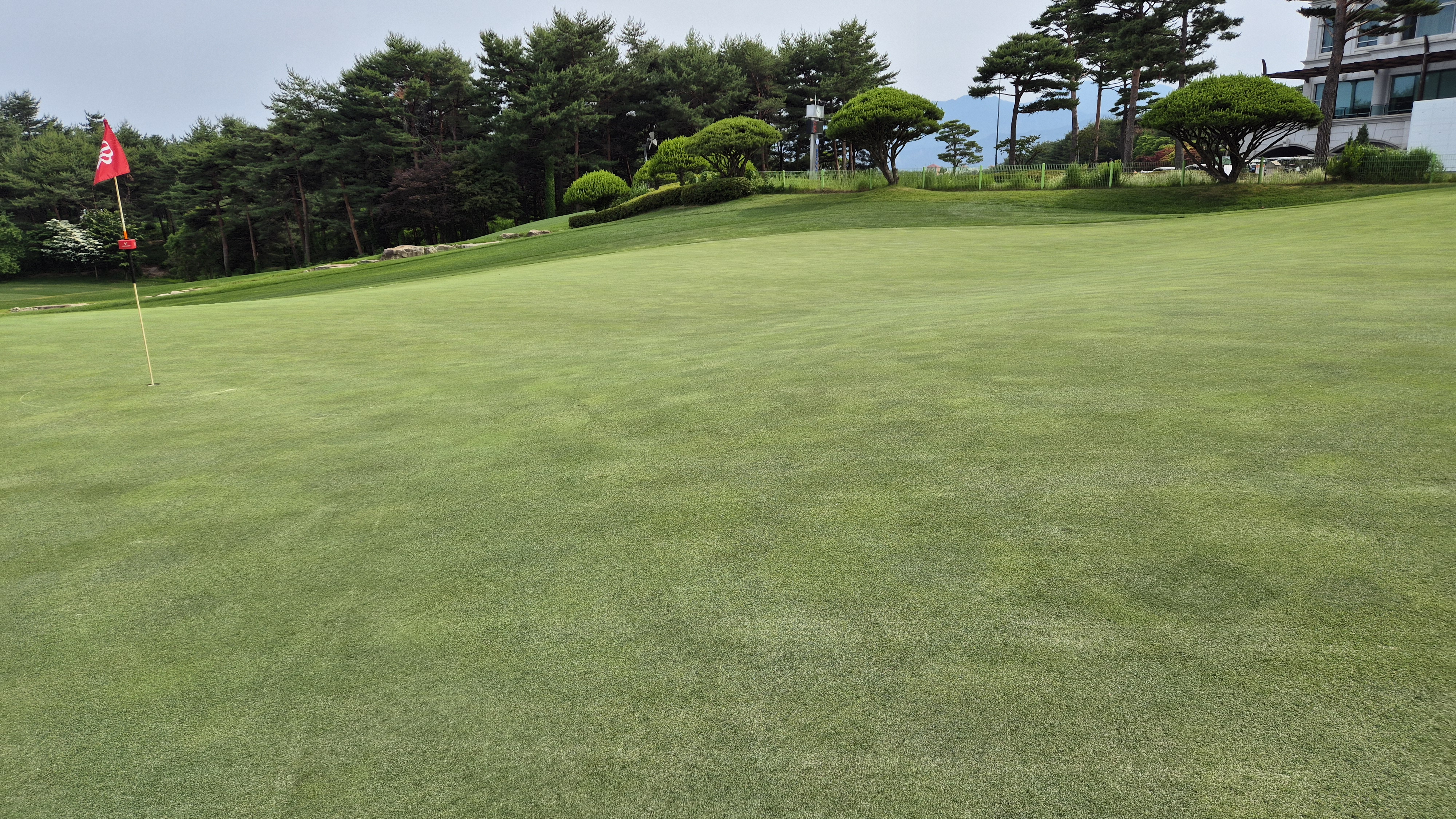 파인리즈cc 라운드 후기