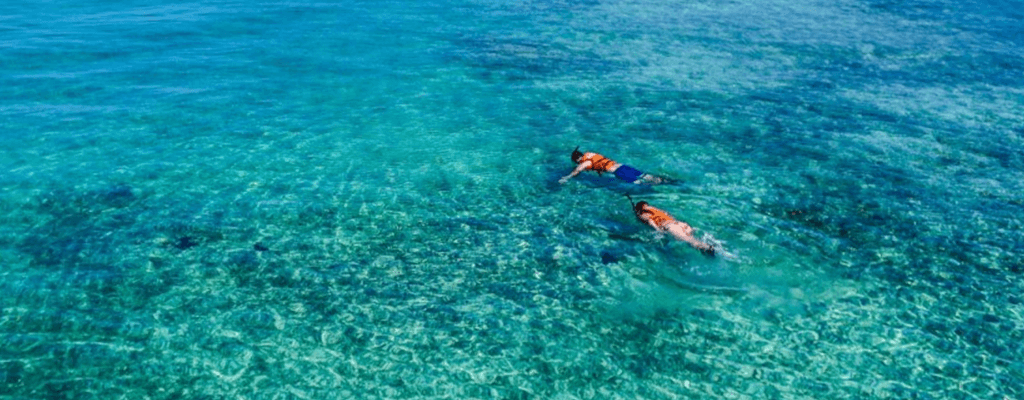 트래블버블(Travel Bubble)이란? TOP5 국가, 자가격리 면제 조건