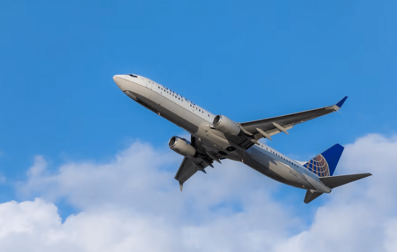 여권없을때 대처법