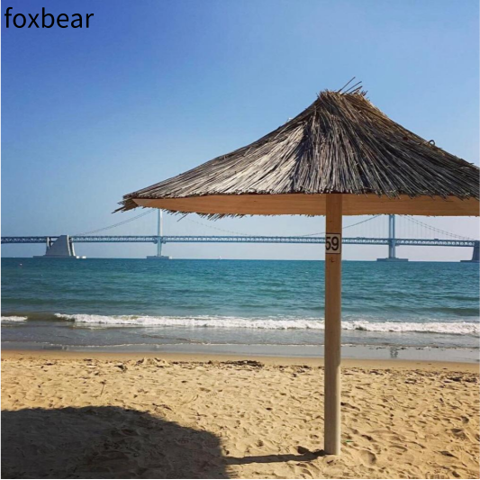 아시아나항공 마일리지