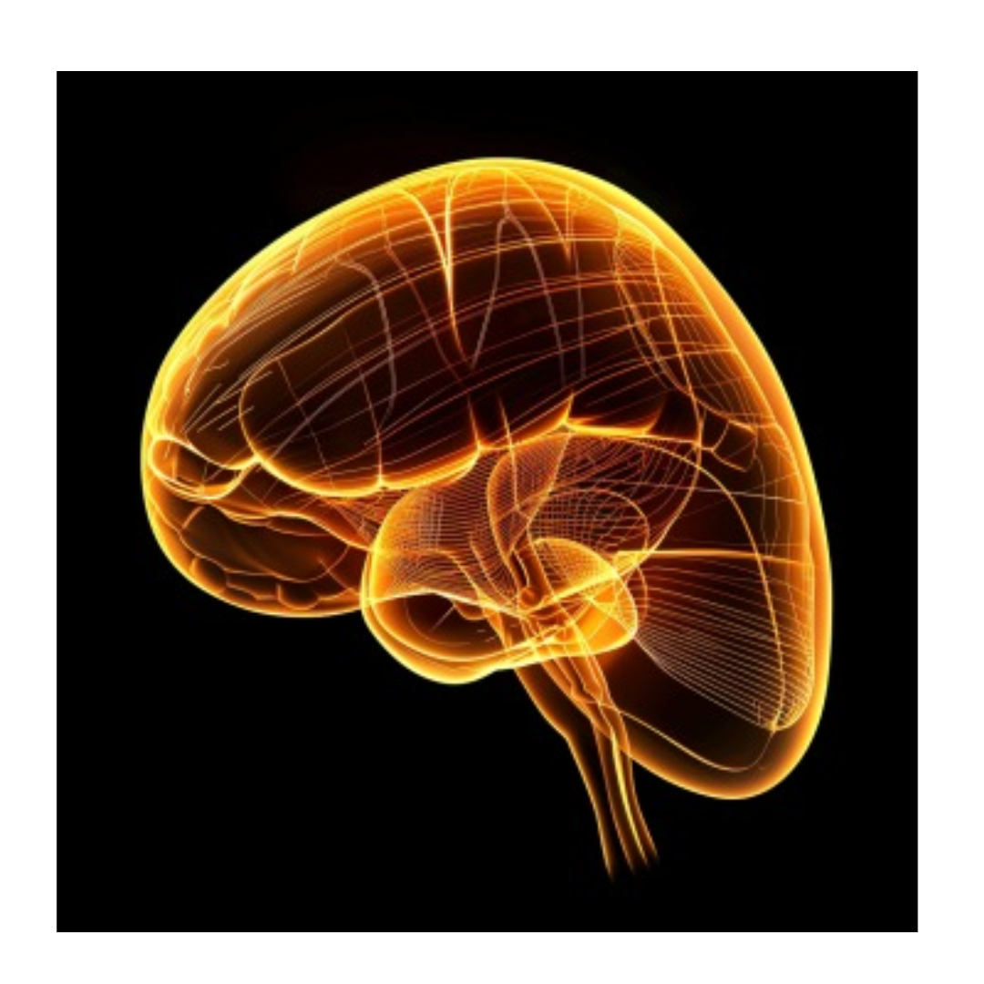 담낭제거수술과 관련된 사진입니다.