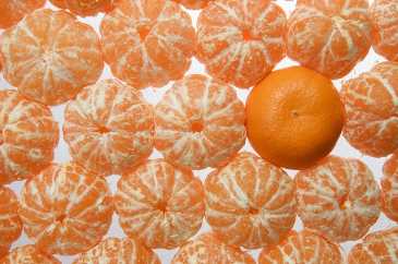 12월 제철과일 귤