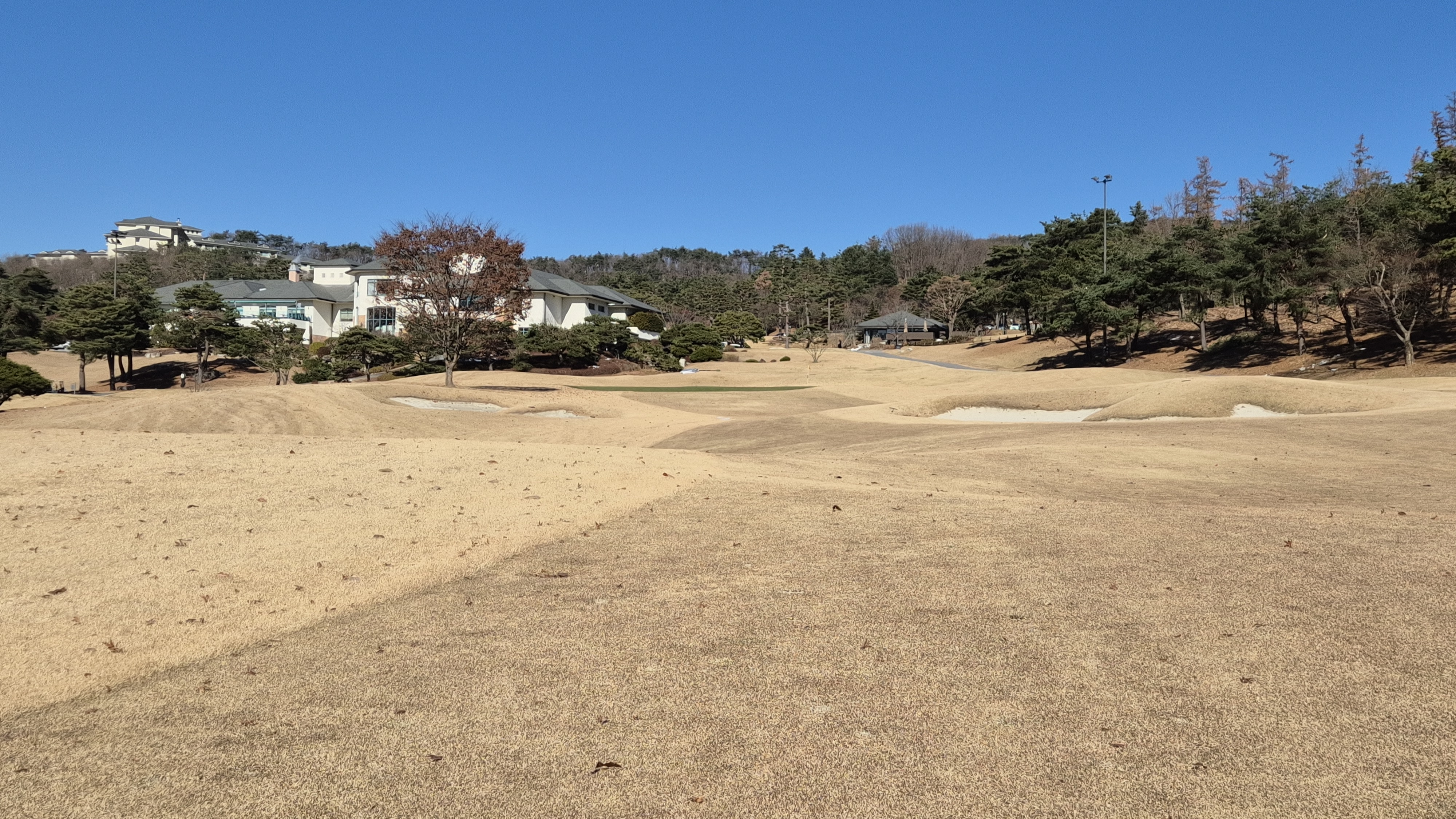 오크밸리cc 오크 코스 사진 및 공략 정보