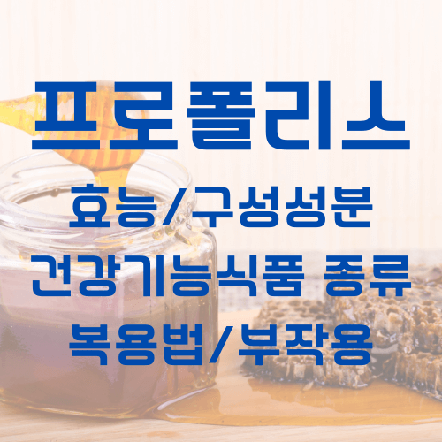 프로폴리스_대표사진