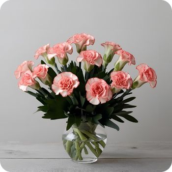 카네이션 당일배송 가능! 바쁜 직장인