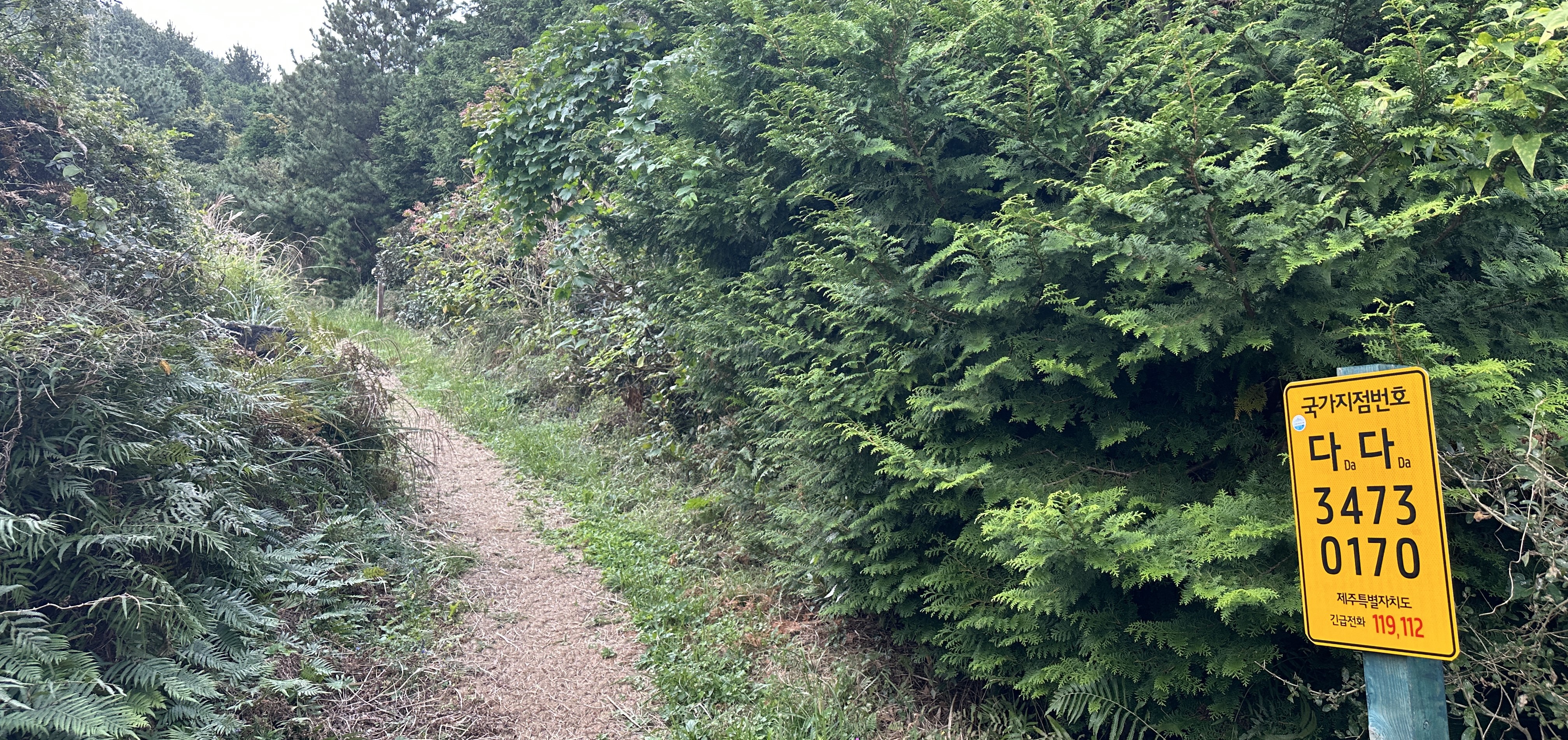 둔지오름 탐방로